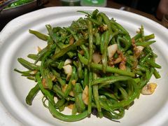 砂锅扁豆丝-鸽子窝(青塔店)