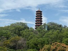 -红花山公园