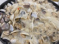 -顺德哥卜卜贝(旗舰店)