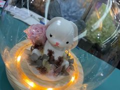 -上海汇之星奔驰4S店(浦东新店)