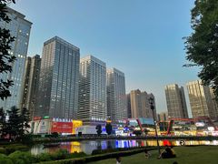 -杨姨妈丝娃娃(花果园店)