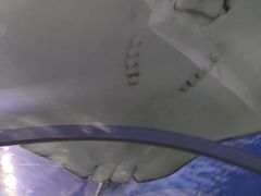 -芜湖新华联大白鲸海洋公园