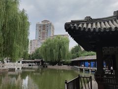-团结湖公园