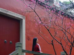 -乌山风景区