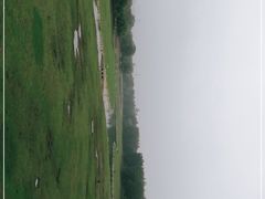-北京麋鹿生态实验中心