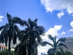 -南山图书馆(常兴路店)