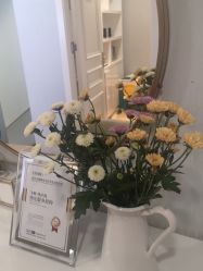 -YESIDO椰岛美容