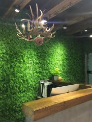 -V-STAR威斯达•高级私人定制