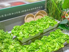 -九孔·筒骨莲藕汤锅(大明宫万达店)