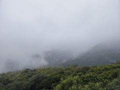 -大余丫山旅游度假区