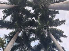 -一树一叶·福建茶档(石鼓路店)