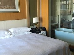 -常州武进九洲喜来登酒店