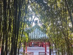 -潭柘寺景区
