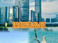 -深圳湾公园(南山区)