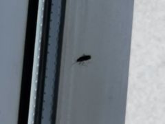 -胜记凯心茶餐厅(汇金财富广场店)