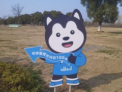 -苏州太湖国家湿地公园
