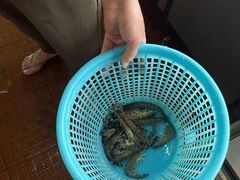 -崖口红树林海鲜餐厅