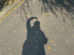 -哈尔滨文化公园