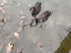 -天津东丽湖风景区