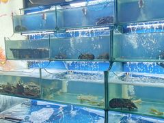 -桔子海鲜烧烤大排档(台东店)