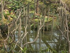 -南通洲际绿博园