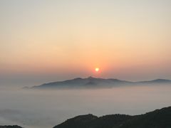 -枸杞岛