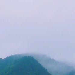 -凡碧诗毛孔收细