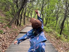 -帽儿山国家森林公园