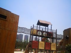 -枫香湖儿童公园