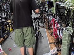 -道路口单车爱瓦士dahon大行