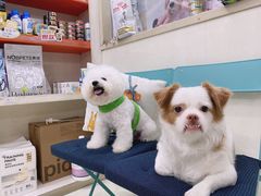 -瑞鹏宠物医院·微创内窥镜·骨外科·牙科(翠竹分院)