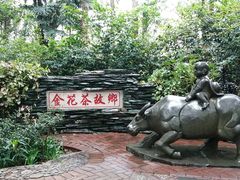 -金花茶公园