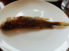 -听松楼·花园酒店·自助餐厅(红梅公园店)