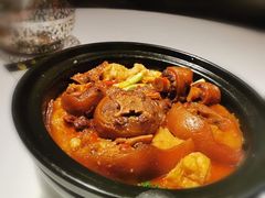 -新同乐鱼翅酒家(美丽华店)