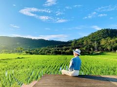 -艾米稻香小镇