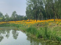 -东郊湿地公园