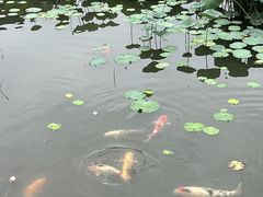 -武汉园博园(武汉自然博物馆)