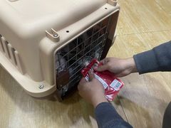 -瑞派名望24h动物医院异宠专科·猫专科·骨科·重症监护分院