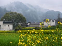 -新安江山水画廊风景区