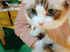 -MARSMART PETS火星宠物超市(1733店)