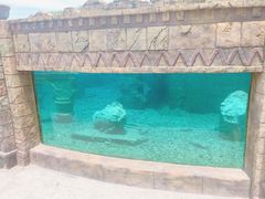 景点-上海玛雅海滩水公园