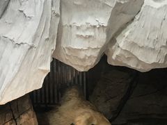 -海合安武汉极地海洋公园