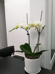 -时尚殿堂salon