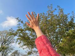 -汉长安城未央宫国家考古遗址公园