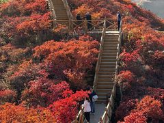 -水峪民俗村