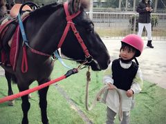 -重庆和泰马术俱乐部