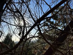 -北京西山国家森林公园