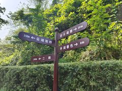 -重庆彩云湖湿地公园
