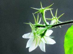 -海天一色海景自助餐厅(西港花园店)