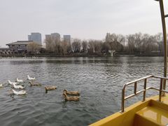 -西安汉城湖景区